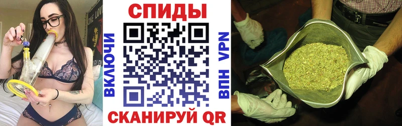 Купить закладки  Мещовск  БУТИРАТ буратино 