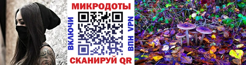 Галлюциногенные грибы Psilocybe  Купить закладки  Мещовск 